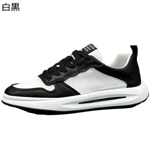 Xj[J[ Y XP{[V[Y [Jbg [XAbv X|[c JWA EH[LOV[Y bV ʋC RtH[g ₷ AEghA ʊw ʋ 풅p