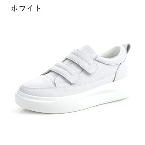  Xj[J[ fB[X  傫TCY TCY JWA [Jbg U[ Xj[J[ xN fbLV[Y t H~ r ɂȂ t@bV Vv ؂ 