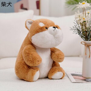 ʂ   Č   yM GG n 킢 ӂӂ D  l` _炩 qp l ޏ ̎q  NX}X o^Cf[ FB 