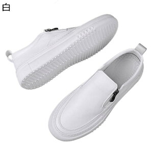 rWlXV[Y JWAV[Y Y t@Xi[  Xb| [Jbg JV RȂ  tH Xj[J Ȃ  y  r Ȃ  AE o