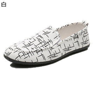 JV [t@[ {[_[ TChSA Y XbvI LoX V K Sn ~ r t@bV fC[ t  y RtH[gV[Y w ʊw Ep