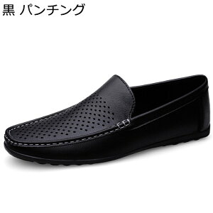  [t@[ p`O PUU[ JV Y XbvI bV hCrOV[Y 傫TCY RtH[g Ȃ L ԗ w Xj[J[ U ʋ ʊw