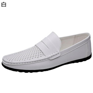 傫TCY JV p`O t [t@[ Y XbvI PUU[ bV rWlXV[Y ꂢ ϋv  h ԗ WjA EH[LO o ʊw