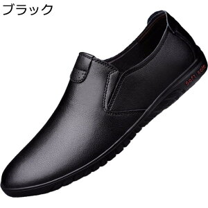 JV t [t@[ Y XbvI rWlXV[Y  [Jbg ꂢ hCu JWA  n Ղ L ɂ ItBX ^] ʊw U Ep