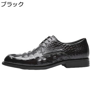 [XAbvV[Y U[ Cq[5cm OH j vC Y rWlXV[Y {v amC tďH~ t@bV ɂ   hXV[Y l  c