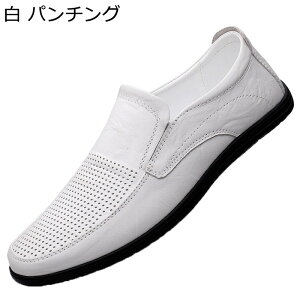 t JV [t@[ Y hCrOV[Y XbvI p`O rWlX bV Ղ ɂ h fC[ NVbN ꂢ w ̓ {[CY ʊw