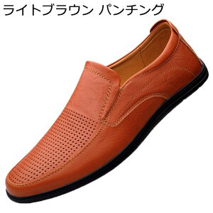 t JV [t@[ Y hCrOV[Y XbvI p`O rWlX bV Ղ ɂ h fC[ NVbN ꂢ w ̓ {[CY ʊw