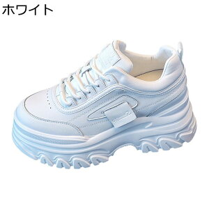 Cq[Xj[J[ fB[X 7cmgAbv JWAV[Y vbgtH[   n Vv [XAbvV[Y t  H ~  ₷ [Jbg NbV