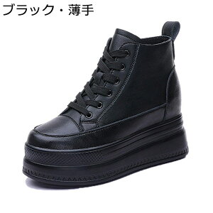 Xj[J[  U[ Cq[ fB[X TChWbp[ {v V[NbgV[Y nCJbg JWAV[Y  [XAbv NbV r t@bV w h