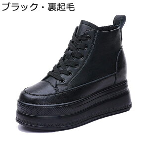 Xj[J[  U[ Cq[ fB[X TChWbp[ {v V[NbgV[Y nCJbg JWAV[Y  [XAbv NbV r t@bV w h