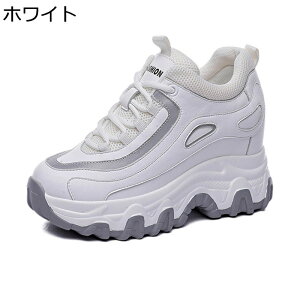 Xj[J[ U[ fB[X C Cq[ vbgtH[ {v JWAV[Y [XAbv [Jbg ₷ ^C X|[c AEghA pb`[N vbgtH