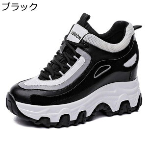 Xj[J[ U[ fB[X C Cq[ vbgtH[ {v JWAV[Y [XAbv [Jbg ₷ ^C X|[c AEghA pb`[N vbgtH