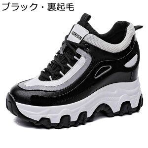 Xj[J[ U[ fB[X C Cq[ vbgtH[ {v JWAV[Y [XAbv [Jbg ₷ ^C X|[c AEghA pb`[N vbgtH