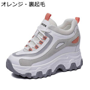 Xj[J[ U[ fB[X C Cq[ vbgtH[ {v JWAV[Y [XAbv [Jbg ₷ ^C X|[c AEghA pb`[N vbgtH