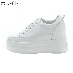 Xj[J[ {v U[ fB[X JWAV[Y [Jbg vbgtH[ Cq[ gAbv n Vv  u ^C EH[LO ʋC NbV y 