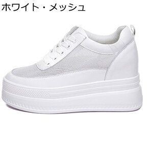 Xj[J[ {v JWAV[Y fB[X bV U[ [XAbv Cq[ C [Jbg X|[c ^C EH[LO AEghA ~ 풅p  w  