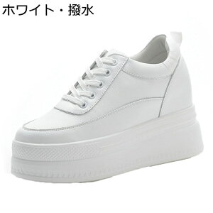 Xj[J[ {v JWAV[Y fB[X bV U[ [XAbv Cq[ C [Jbg X|[c ^C EH[LO AEghA ~ 풅p  w  