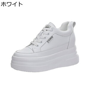 C JWAV[Y {v vbgtH[ Cq[ V[NbgV[Y [XAbv Xj[J[ fB[X  [Jbg X|[c ^C ₷ ₷ n V