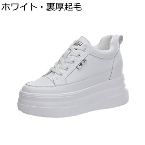 C JWAV[Y {v vbgtH[ Cq[ V[NbgV[Y [XAbv Xj[J[ fB[X  [Jbg X|[c ^C ₷ ₷ n V