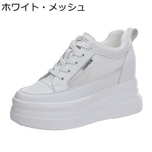 C JWAV[Y {v vbgtH[ Cq[ V[NbgV[Y [XAbv Xj[J[ fB[X  [Jbg X|[c ^C ₷ ₷ n V