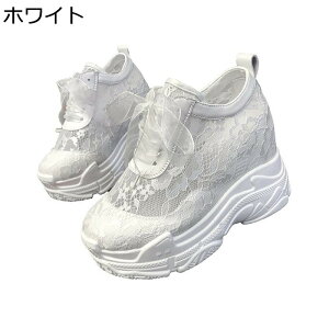 Xj[J[ fB[X bV [XhJ { [XAbvV[Y C vbgtH[ Cq[ t JWA t@bV ₷  EFbW\[ u₩ 10c