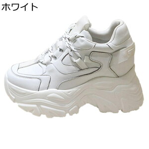 C Xj[J[ U[ fB[X vbgtH[ [XAbv {v V[Nbg [Jbg  JWAV[Y Cq[ ₷ t@bV gAbv w ɂ