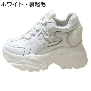 C Xj[J[ U[ fB[X vbgtH[ [XAbv {v V[Nbg [Jbg  JWAV[Y Cq[ ₷ t@bV gAbv w ɂ