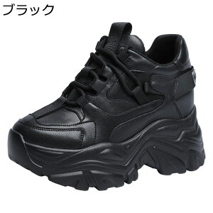 C Xj[J[ U[ fB[X vbgtH[ [XAbv {v V[Nbg [Jbg  JWAV[Y Cq[ ₷ t@bV gAbv w ɂ