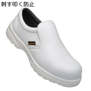 SC Ódh~ XbvI Y 񂺂C |c c ޔh~ zCg ϖ ώ_ σAJ ƌC RbNV[Y [Jbg ~ Z[teBV[Y q Lb