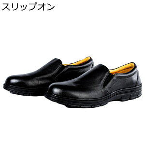 񂺂C SV[Y |c ƌC XbvI U[ ޔh~ [XAbv TChSA Bhh~ veN^[ h [Jbg ₷ 傫TCY h ϖ