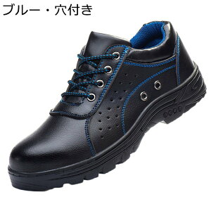 SC 񂺂C |c Y SV[Y X`[ܐ ʋC ݔh~ | ƌC ܐCh 傫TCY hh H یC ~ ϋv ԍH 傫