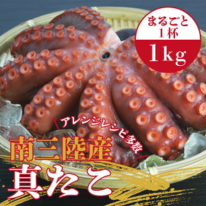 OY ^ 1kg or 2kg {C uÐY Y ̖ ̎uÐ  ^R H Ⓚ ^pbN  hg Jpb`  pX^ g  O Oze