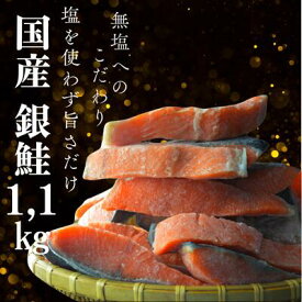 国産 銀鮭切身 約1.1kg 訳あり 無塩 南三陸産 宮城県 鮭 さけ サケ シャケ サーモン 鮭切身 切り身 冷凍 訳アリ わけあり おかず 弁当 魚 海鮮 塩焼き ムニエル 南三陸ホテル観洋