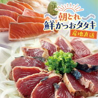 「エントリーでP5倍」【予約販売！】朝どれ 鮮かつおタタキ 伊達の銀炙りサーモンセット かつお600g 2〜3…