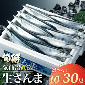 【スーパーセール最大20％OFF＋エントリーでP10倍！】気仙沼産 新物 生さんま 10尾～30尾 選べる 三陸産 鮮さんま 秋刀魚 サンマ 獲れたて 当日発送 産地直送 阿部長商店 秋の味覚 お取り寄せ グルメ 塩焼き 蒲焼き 生姜煮 お刺身 三陸【水揚げ次第順次発送】【指定日不可】
