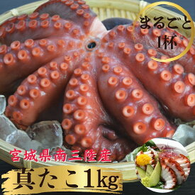 南三陸産 真たこ 1kg or 2kg ボイルたこ 志津川産 国産 西の明石 東の志津川 蛸 タコ 生食 冷凍 真空パック 小分け お刺身 カルパッチョ たこ飯 パスタ 唐揚げ お取り寄せ グルメ 南三陸ホテル観洋 阿部長商店 ギフト