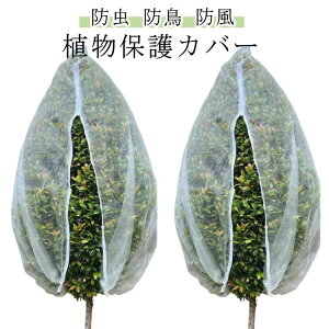 t@Xi[t hlbg hlbg ؉ ƒ؉ Aی hlbg 悯 lbg ؍͔| v^[ Ԓd hJo[ В 80*120cm 120*150cm 160*180cm 180*180cm ۉ h ʂ 80*100cm