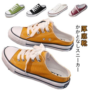 Xj[J[  Xbp Xj[J[  T_ Cq[ LoXV[Y fB[X ₷ wlC YbNC T{ y Ȃ t y Xb| Xj[J[ R