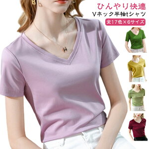    n z TVc Ђ  ڐG⊴ t ΍ Vv n StEFA RۖhL Rbg S17F×6TCY!vlbN JWA Ci[ 傫TCY UV