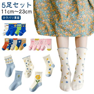 N[\bNX w Mtg w q ̎q C xr[ 11-23cm C q  j  5Zbg j̎q ObY 5Zbg ǂ LbY C WjA  ʉ 