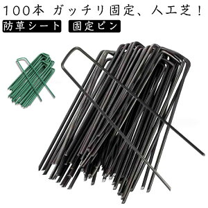 100{Zbg lH s s lŐ Y usY Œp Us [p hV[g lHŃs Œs s }bg l x_ Ő   s us V[g