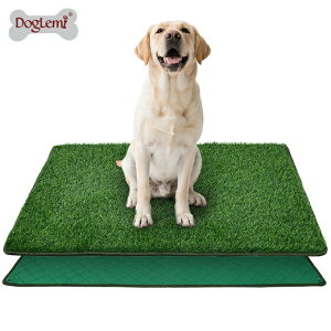 ybgp gCg[jO ړI lH gCg[i[  gCK pgC }bg  ybgV[g }bg ybggCV[g pgCg[ lHŃ}bg 