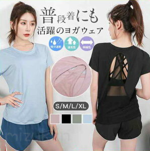 KEFA gbvX ^Ngbv fB[X zbgK  tBbglXEFA 킢  X|[c TVc z Xgb`