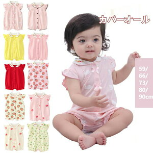  V xr[ pW} Jo[I[ p[X k  Ԃ  Rbg q t  H V OJ  xr[ [EGA {fBI[ oYj