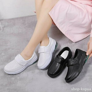 JW ~ ʋC  y JWAV[Y C Xj[J[ jOV[Y h fB[X Y Xj[J[