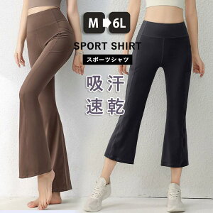 Kpc fB[X Xgb` ʋC z Y{ jO KMX z EH[LO W KEFA X|[cEFA  z n Vv e ̌^Jo[ 