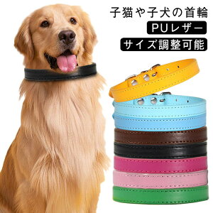 10TCY PUU[ L  ^ Lp L̎ TCY\ v Mtg ybg  Vv   qL  ybgObY Z[teB L  킢 ˂ 