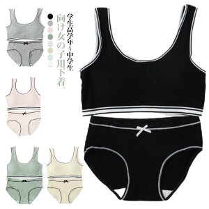 2_Zbg pc u K[Y fB[X WjAu WjAZbg V[c pbht n Vv _炩  Zbg u  Jbvt l ̎q uW[ C