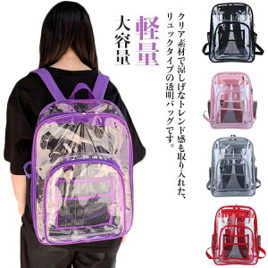 NAobNpbN Jo ɃobO obO  bNTbN rj[obO y  Ƀo obO ʂݓ @\ fCobO e PVC 킢  ɃbN v[