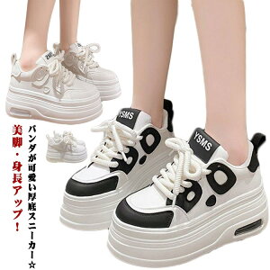 Xj[J[ Ȃ q[8cm p_ V[Y X|[c Xj[J[ EH[LOV[Y  _bhXj[J[ C fB[X nn 킢 ₷ fB[X ɂ